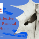 Guide to Effective Wallpaper Removal for Your Home