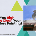 Should You High Pressure Clean Your Roof Before Painting?